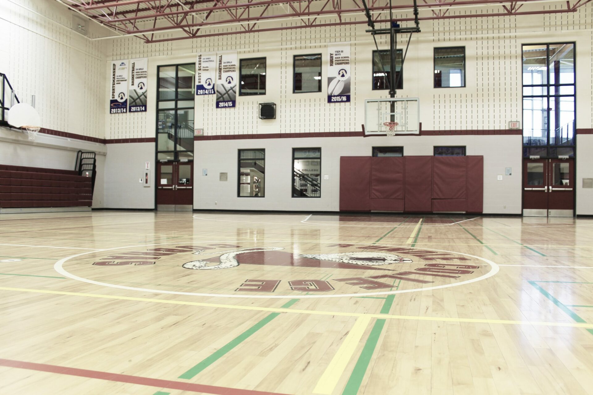 Image of Rundle College Collett School Gymnasium